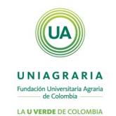 Imagen14